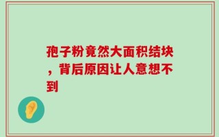 孢子粉竟然大面积结块，背后原因让人意想不到