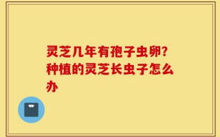 灵芝几年有孢子虫卵？种植的灵芝长虫子怎么办