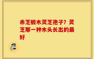 赤芝椴木灵芝孢子？灵芝那一种木头长出的最好