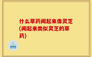 什么草药闻起来像灵芝(闻起来类似灵芝的草药)