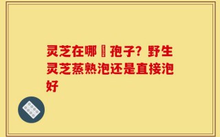灵芝在哪噴孢子？野生灵芝蒸熟泡还是直接泡好