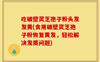 吃破壁灵芝孢子粉头发发黄(食用破壁灵芝孢子粉恢复黄发，轻松解决发质问题)