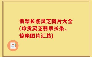 翡翠长条灵芝图片大全(珍贵灵芝翡翠长条，惊艳图片汇总)