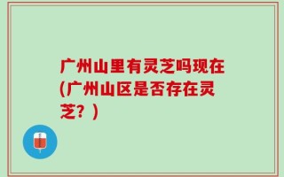 广州山里有灵芝吗现在(广州山区是否存在灵芝？)