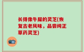 长得像牛屎的灵芝(恢复古老风味，品尝纯正草药灵芝)