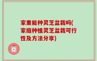 家里能种灵芝盆栽吗(家庭种植灵芝盆栽可行性及方法分享)