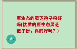 原生态的灵芝孢子粉好吗(优质的原生态灵芝孢子粉，真的好吗？)