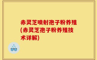 赤灵芝喷射孢子粉养殖(赤灵芝孢子粉养殖技术详解)