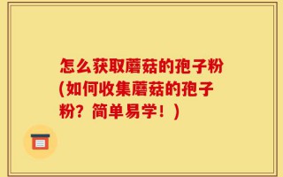 怎么获取蘑菇的孢子粉(如何收集蘑菇的孢子粉？简单易学！)