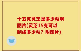 十五克灵芝是多少粒啊图片(灵芝15克可以制成多少粒？附图片)