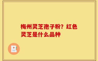 梅州灵芝孢子粉？红色灵芝是什么品种