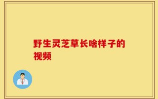 野生灵芝草长啥样子的视频