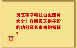 灵芝孢子粉长白虫图片大全？详解灵芝孢子粉的功效及长白虫的特征？