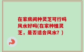 在家房间种灵芝可行吗风水好吗(在家种植灵芝，是否适合风水？)