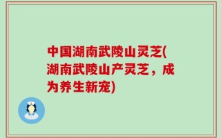 中国湖南武陵山灵芝(湖南武陵山产灵芝，成为养生新宠)