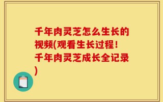 千年肉灵芝怎么生长的视频(观看生长过程！千年肉灵芝成长全记录)