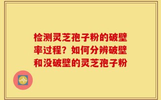 检测灵芝孢子粉的破壁率过程？如何分辨破壁和没破壁的灵芝孢子粉