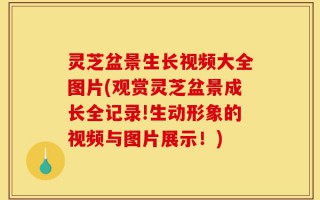 灵芝盆景生长视频大全图片(观赏灵芝盆景成长全记录!生动形象的视频与图片展示！)