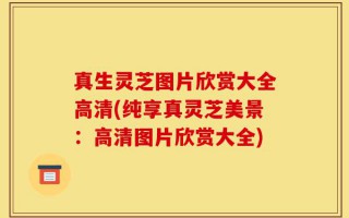 真生灵芝图片欣赏大全高清(纯享真灵芝美景：高清图片欣赏大全)