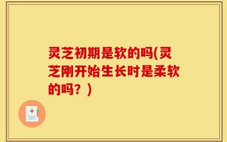 灵芝初期是软的吗(灵芝刚开始生长时是柔软的吗？)