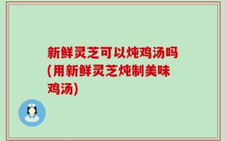 新鲜灵芝可以炖鸡汤吗(用新鲜灵芝炖制美味鸡汤)