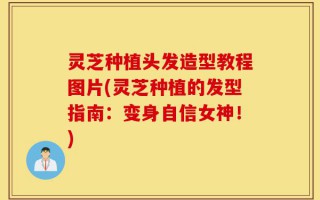 灵芝种植头发造型教程图片(灵芝种植的发型指南：变身自信女神！)