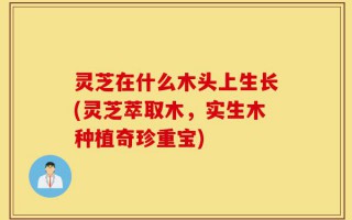 灵芝在什么木头上生长(灵芝萃取木，实生木种植奇珍重宝)