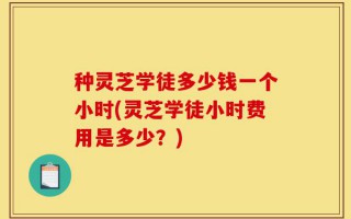 种灵芝学徒多少钱一个小时(灵芝学徒小时费用是多少？)