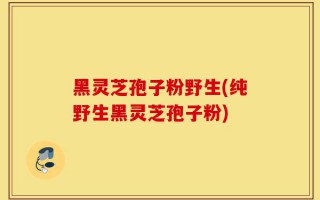 黑灵芝孢子粉野生(纯野生黑灵芝孢子粉)