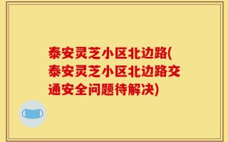 泰安灵芝小区北边路(泰安灵芝小区北边路交通安全问题待解决)