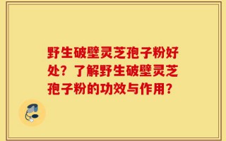 野生破壁灵芝孢子粉好处？了解野生破壁灵芝孢子粉的功效与作用？