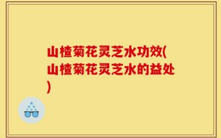 山楂菊花灵芝水功效(山楂菊花灵芝水的益处)