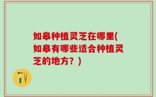 如皋种植灵芝在哪里(如皋有哪些适合种植灵芝的地方？)