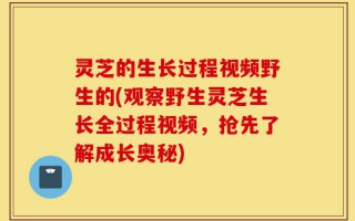 灵芝的生长过程视频野生的(观察野生灵芝生长全过程视频，抢先了解成长奥秘)