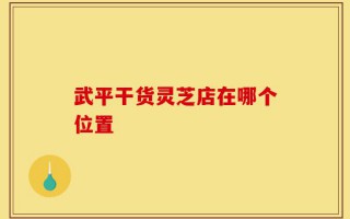 武平干货灵芝店在哪个位置