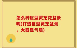 怎么种巨型灵芝花盆景呢(打造巨型灵芝盆景，大器显气质)