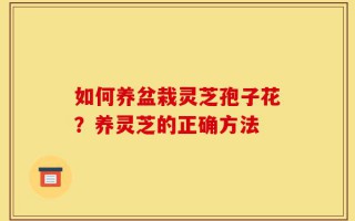 如何养盆栽灵芝孢子花？养灵芝的正确方法