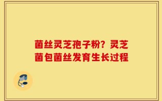 菌丝灵芝孢子粉？灵芝菌包菌丝发育生长过程
