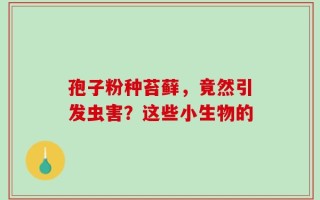 孢子粉种苔藓，竟然引发虫害？这些小生物的