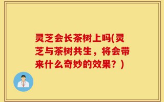 灵芝会长茶树上吗(灵芝与茶树共生，将会带来什么奇妙的效果？)