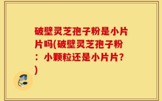 破壁灵芝孢子粉是小片片吗(破壁灵芝孢子粉：小颗粒还是小片片？)