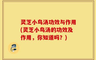灵芝小鸟汤功效与作用(灵芝小鸟汤的功效及作用，你知道吗？)