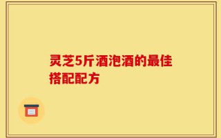 灵芝5斤酒泡酒的最佳搭配配方