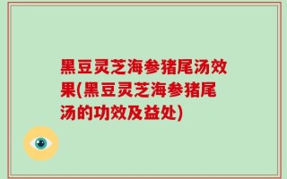 黑豆灵芝海参猪尾汤效果(黑豆灵芝海参猪尾汤的功效及益处)