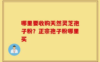 哪里要收购天然灵芝孢子粉？正宗孢子粉哪里买