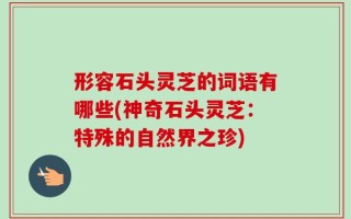 形容石头灵芝的词语有哪些(神奇石头灵芝：特殊的自然界之珍)