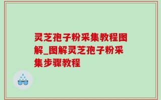 灵芝孢子粉采集教程图解_图解灵芝孢子粉采集步骤教程