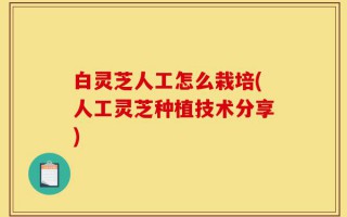 白灵芝人工怎么栽培(人工灵芝种植技术分享)