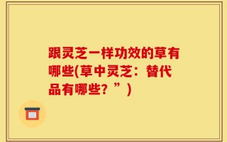 跟灵芝一样功效的草有哪些(草中灵芝：替代品有哪些？”)