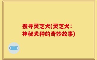 搜寻灵芝犬(灵芝犬：神秘犬种的奇妙故事)